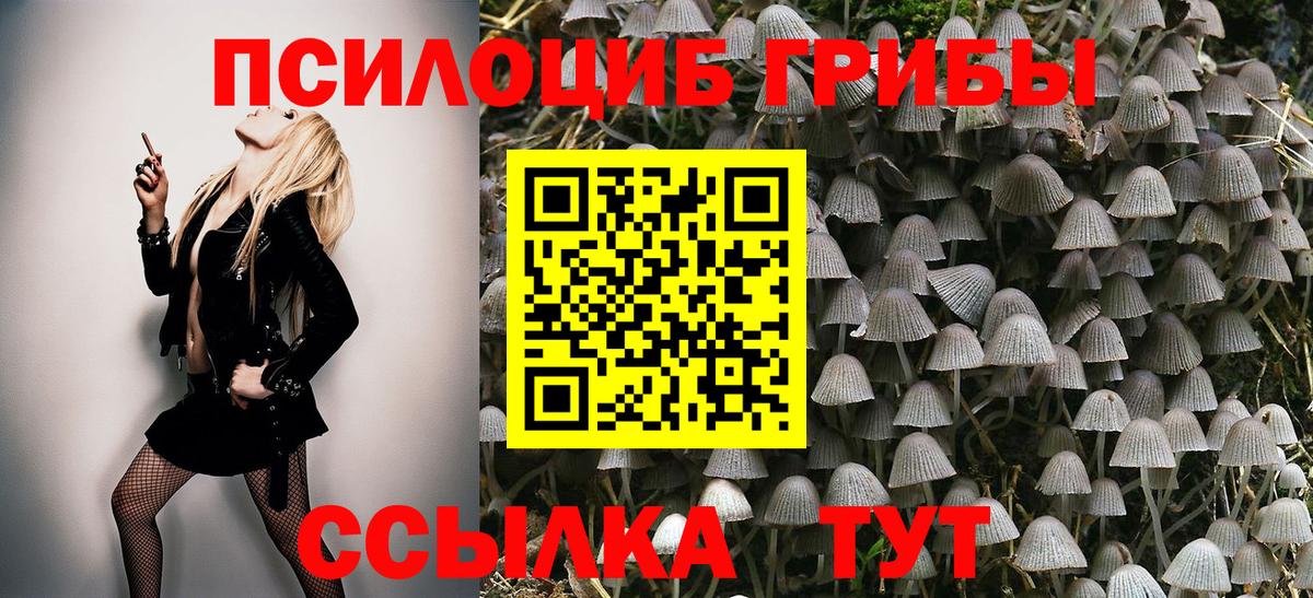 Галлюциногенные грибы GOLDEN TEACHER Тверь