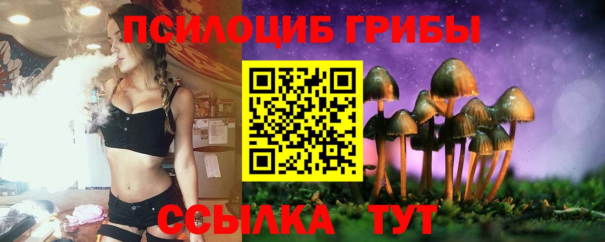 Псилоцибиновые грибы Cubensis  Галлюциногенные грибы прущие грибы  Вход с VPN  Тверь 
